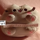 Telegram profile photo for Финни