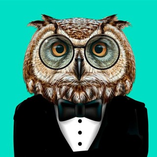 Telegram profile photo for Kalakoat @ba llb