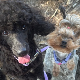 Telegram profile photo for Molly and Mona