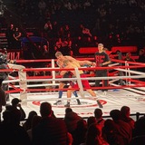 Telegram profile photo for peaceful boxing