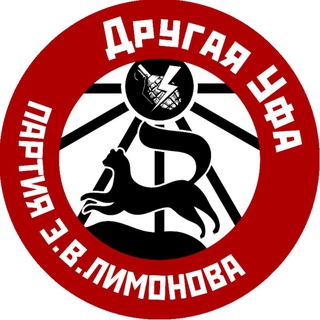 Telegram profile photo for Другая Уфа Э.В. Лимонова