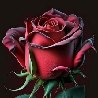 Telegram profile photo for ♟️❤️🌹الأرزاق بيد الله🌹❤️♟️