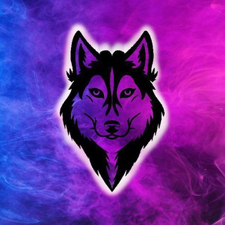 Telegram profile photo for MULTICHAIN LOW TAX 👻