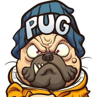 Telegram profile photo for Pug Calls