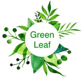 Telegram profile photo for Green leaf yasnobod