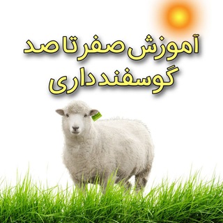 Telegram profile photo for 🟡📚آموزش گوسفند داری۱۴۰۵