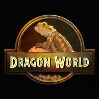 Telegram profile photo for Dragon World