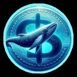 Telegram profile photo for BNB-BTC WHALE| 5%TAX CG & CMC FAST TRACK