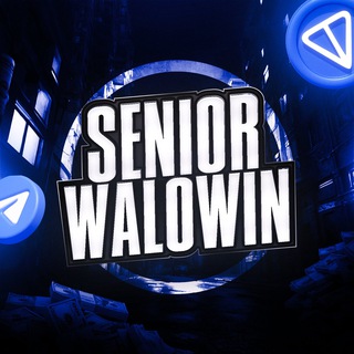 Telegram profile photo for Walowin • Projects 💼