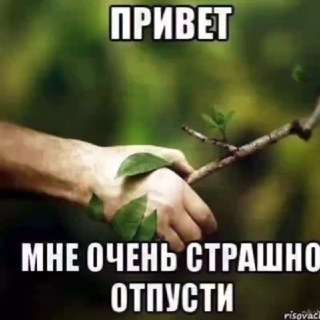 Telegram profile photo for Дикий анонче
