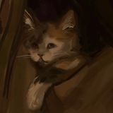 Telegram profile photo for velwett