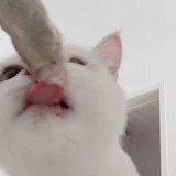 Telegram profile photo for 幼幼的小家