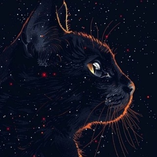 Telegram profile photo for Апокалипсис сегодня