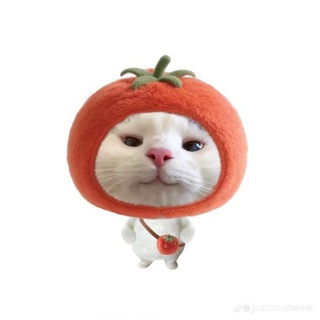 Telegram profile photo for ๐๐๐ง๐ง๐ข๐'๐ฌ ๐๐๐๐ง๐ง๐๐ฅ๏ธ๏ธ๏ธใท๏ธ