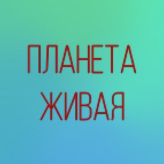 Telegram profile photo for ПЛАНЕТА ЛЮБОВЬ