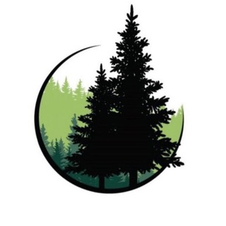 Telegram profile photo for 🌳 Окна в Лес