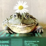 Telegram profile photo for Без понятия