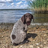 Telegram profile photo for Grace||blog🐾