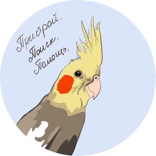 Telegram profile photo for Помощь птицам 🕊 Пристрой попугаев. Улетел / нашёлся попугай