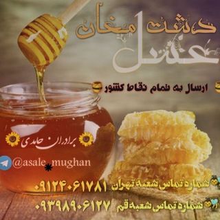 Telegram profile photo for عسل و آجیل و خشکبار حامدی