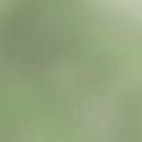 Telegram profile photo for لَا حَولَ وَ لَا قوة إلا بِاللهِ .