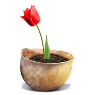 Telegram profile photo for جنبش نفوذ
