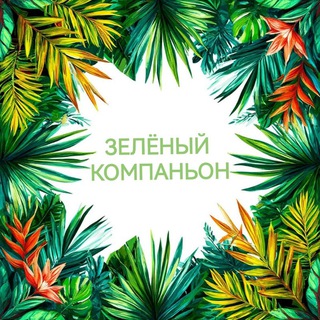 Telegram profile photo for Зеленый Компаньон
