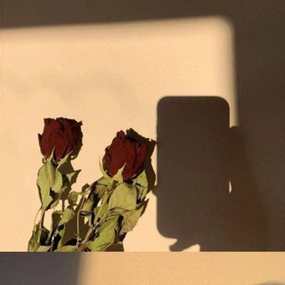Telegram profile photo for دُرّة . استثنوا القناه