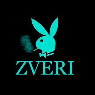 Telegram profile photo for ZVERI_RND