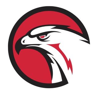 Telegram profile photo for Crypto Hawk Calls