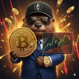 Telegram profile photo for The_CoinCollector
