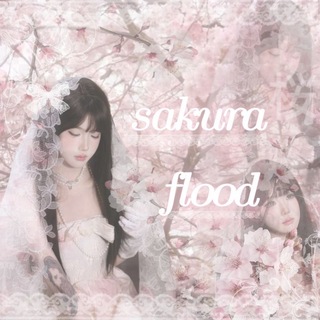 Telegram profile photo for 𝑆𝑎𝑘𝑢𝑟𝑎 𝑓𝑙𝑜𝑜𝑑: 𝑏𝑙𝑜𝑠𝑠𝑜𝑚 𝑡𝑟𝑎𝑖𝑙 /𝑖𝑛𝑓𝑜
