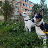 Telegram profile photo for Лайфы от Кианы йоу