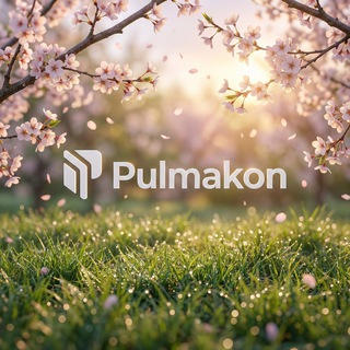 Telegram profile photo for Pulmakon ММТ