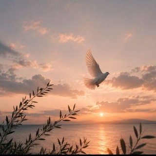 Telegram profile photo for Peace