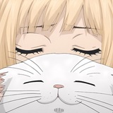Telegram profile photo for páddkukiry