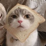Telegram profile photo for ᴀдᴏᴨᴛы ᴏᴛ Ꮲыжи🎆