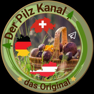 Telegram profile photo for 🌲Der Pilz Kanal🌲
