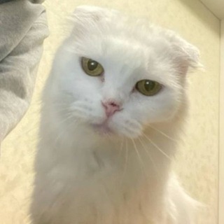 Telegram profile photo for александр951