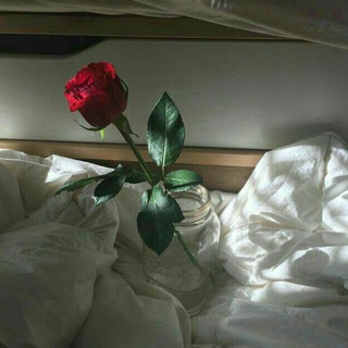Telegram profile photo for غٌــــــ "روحــــ💔" ــربٍّة
