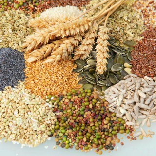 Telegram profile photo for معالج روحاني وطبيب أعشاب