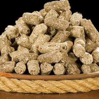Telegram profile photo for Feed Technology