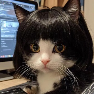 Telegram profile photo for 国际短信服务,一手稳定靠谱