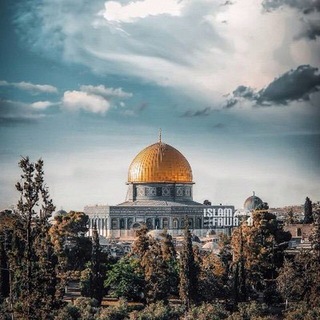 Telegram profile photo for عہٰ۪۫ـ❀شها عـٰ۪۫لہى هہََͤͤ͜͜ـ௮ ͡ـواك❀