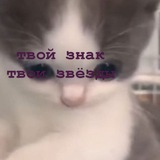 Telegram profile photo for твой знак, твои звёзды 標識と星