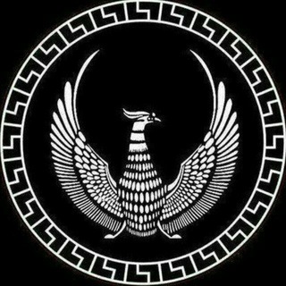 Telegram profile photo for 1XBET GURUX 🇺🇿