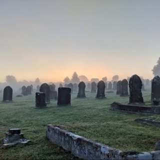 Telegram profile photo for Died Suddenly with Erin Eliz HealthNutNews
