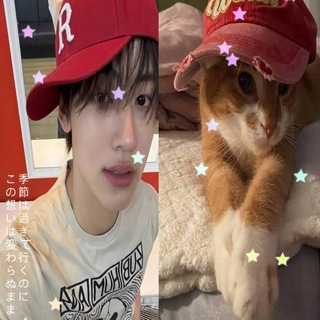 Telegram profile photo for π΅ ππππ πππππ βπ΅