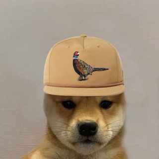 Telegram group profile photo for NFT / Звёзды Продажа | Общение | Чатик