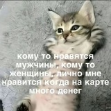 Telegram profile photo for Репа Трапизы